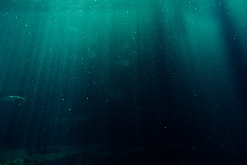 Under the ocean