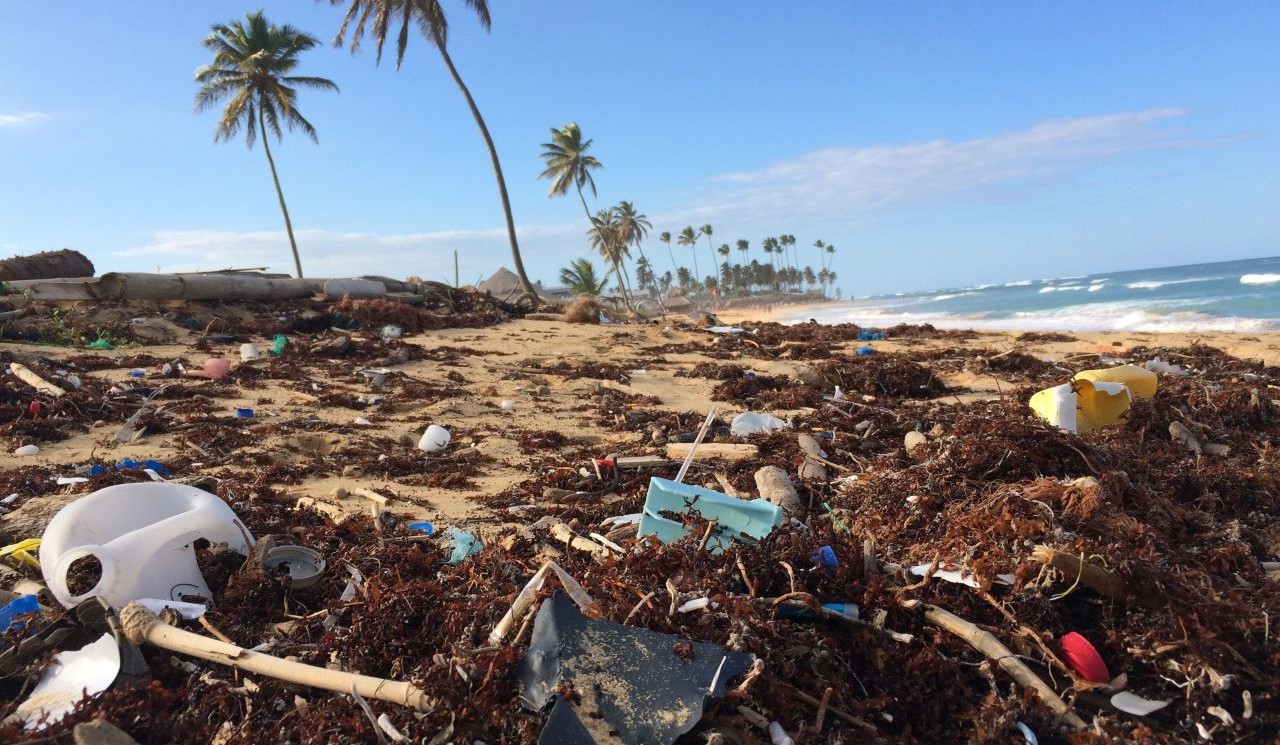 Plastic waste littering a beach, with palm trees, waves, and clear skies in the background.