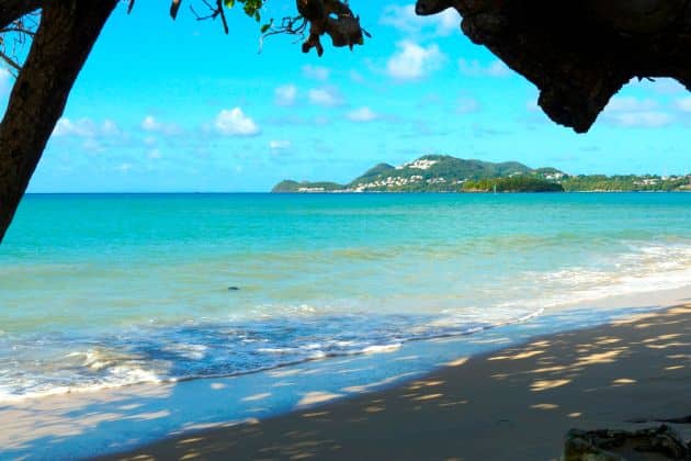 Photo of the sea in Saint Lucia taken through the leaves of palm trees lining the beach. The trees form a silhouetted frame around the sea which is pristine and light blue-green with small wave.