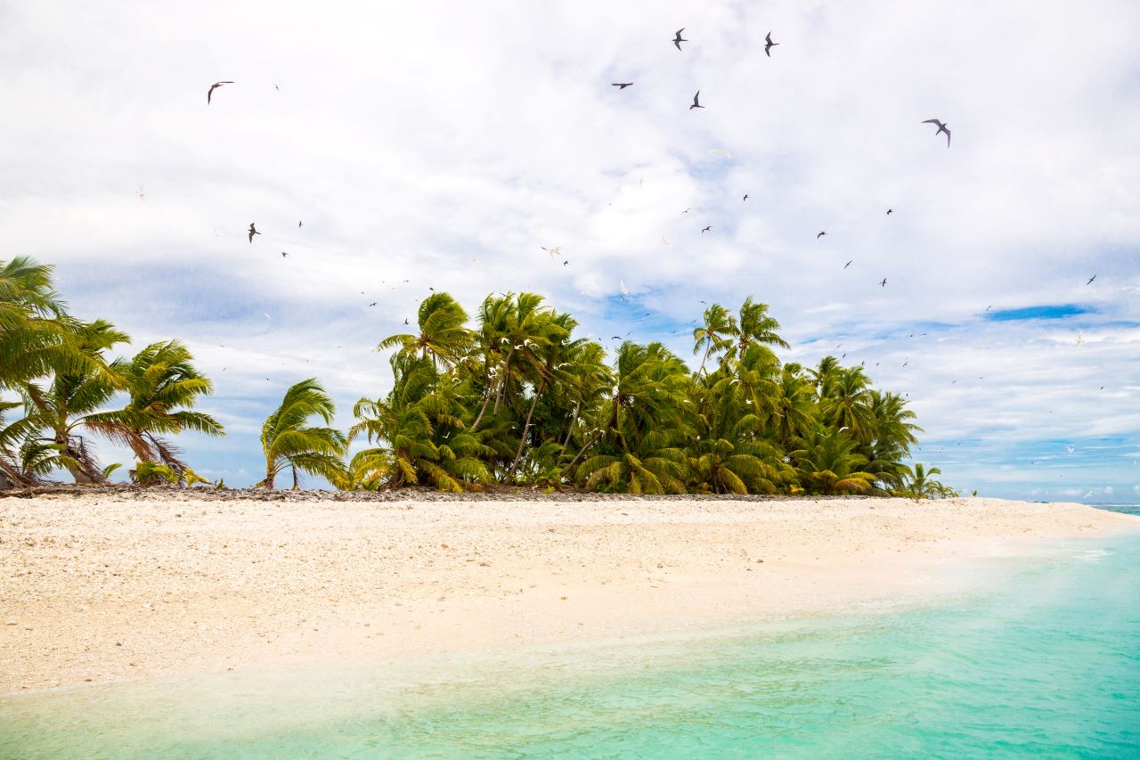 Tuvalu - Funafuti Atoll beach with palm trees and birds in sky