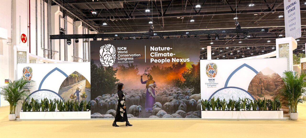 Faryal Gohar at the IUCN World Conservation Congress. Faryal walks in front of a display.