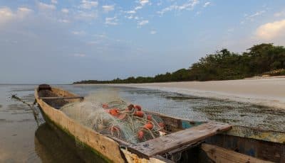 Traditional fishing canoe at the beach in the island of Orango at sunset, in Guinea Bissau.
